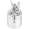 Sterling Silver Tooth Fairy Keepsake Box by Krysaliis